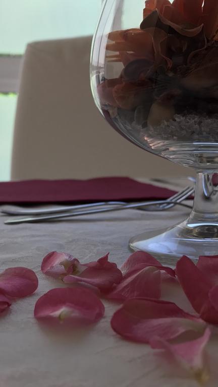 Lady Rose Bed & Breakfast Пиза Экстерьер фото